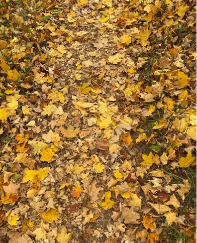 ACRN’s Fall Faves –&nbsp;2022