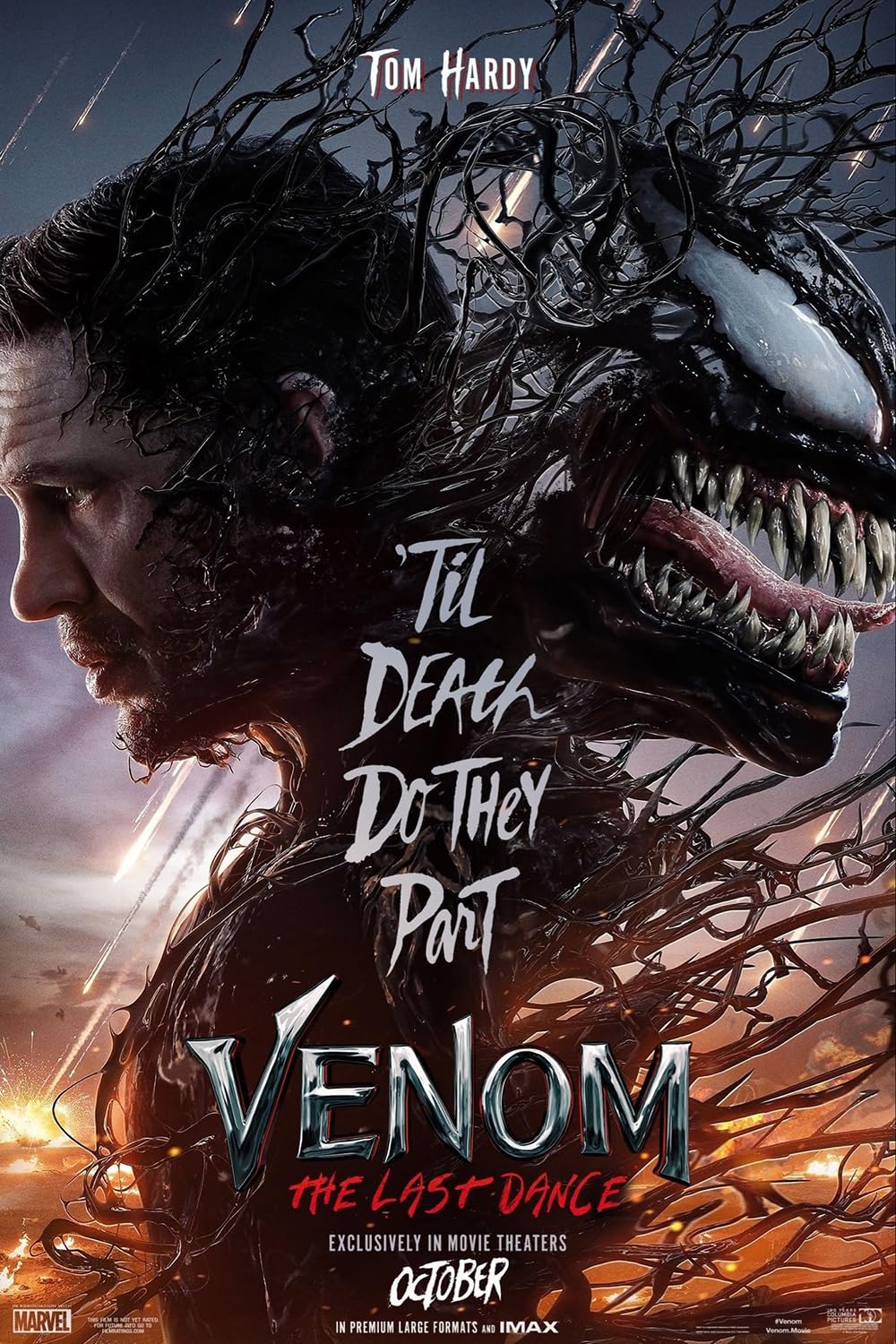 Movie Review: Venom: The Last&nbsp;Dance