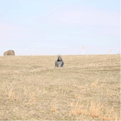 Plant Clones release new single “Too&nbsp;Clean”