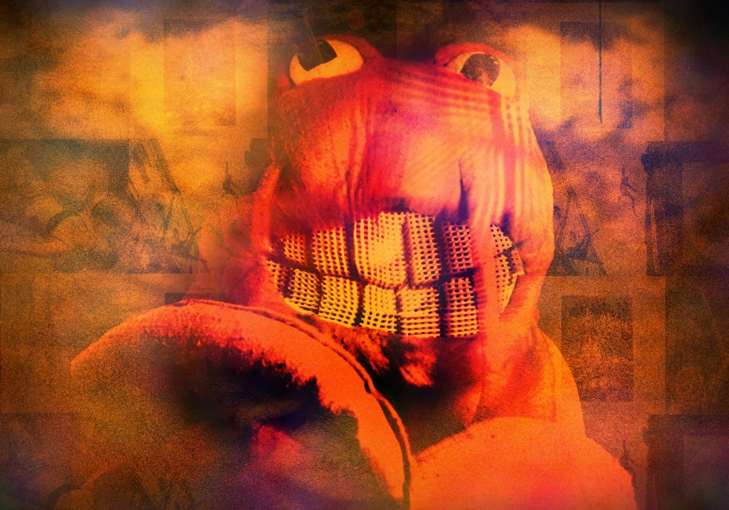 ACRN’s Fall Faves –&nbsp;2025